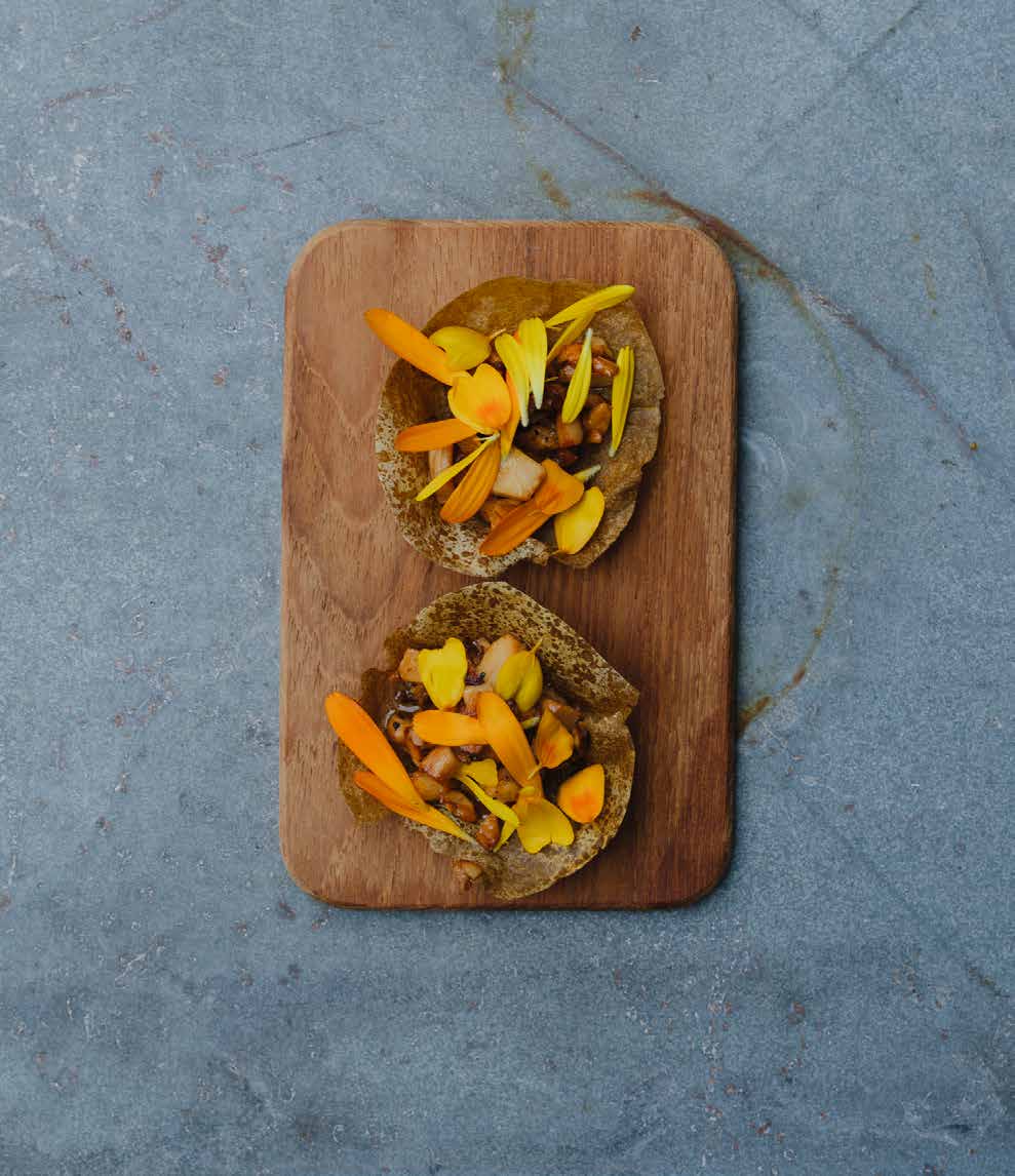 Fermented mushroom sheets