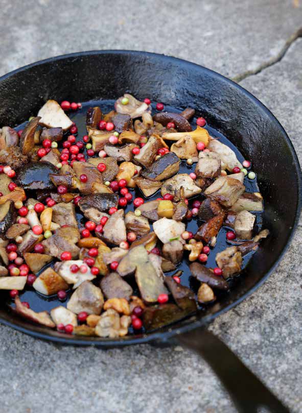 Assorted mushrooms and lingonberries