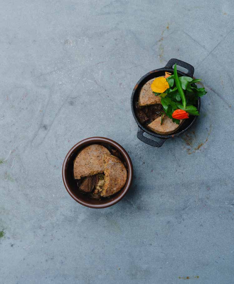 Pie with beef and mushrooms