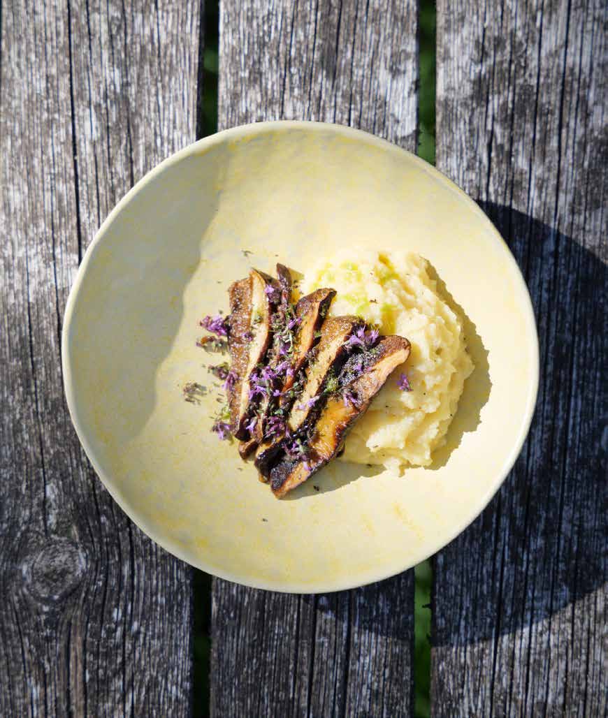 Polenta with bay bolete