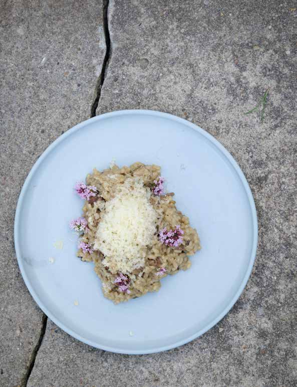 Risotto with larch bolete