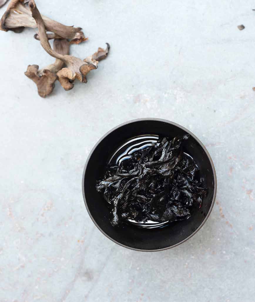 Horn of plenty in soy